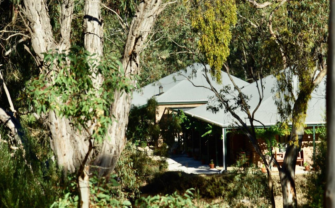 Battunga Cottages Watervale Dış mekan fotoğraf