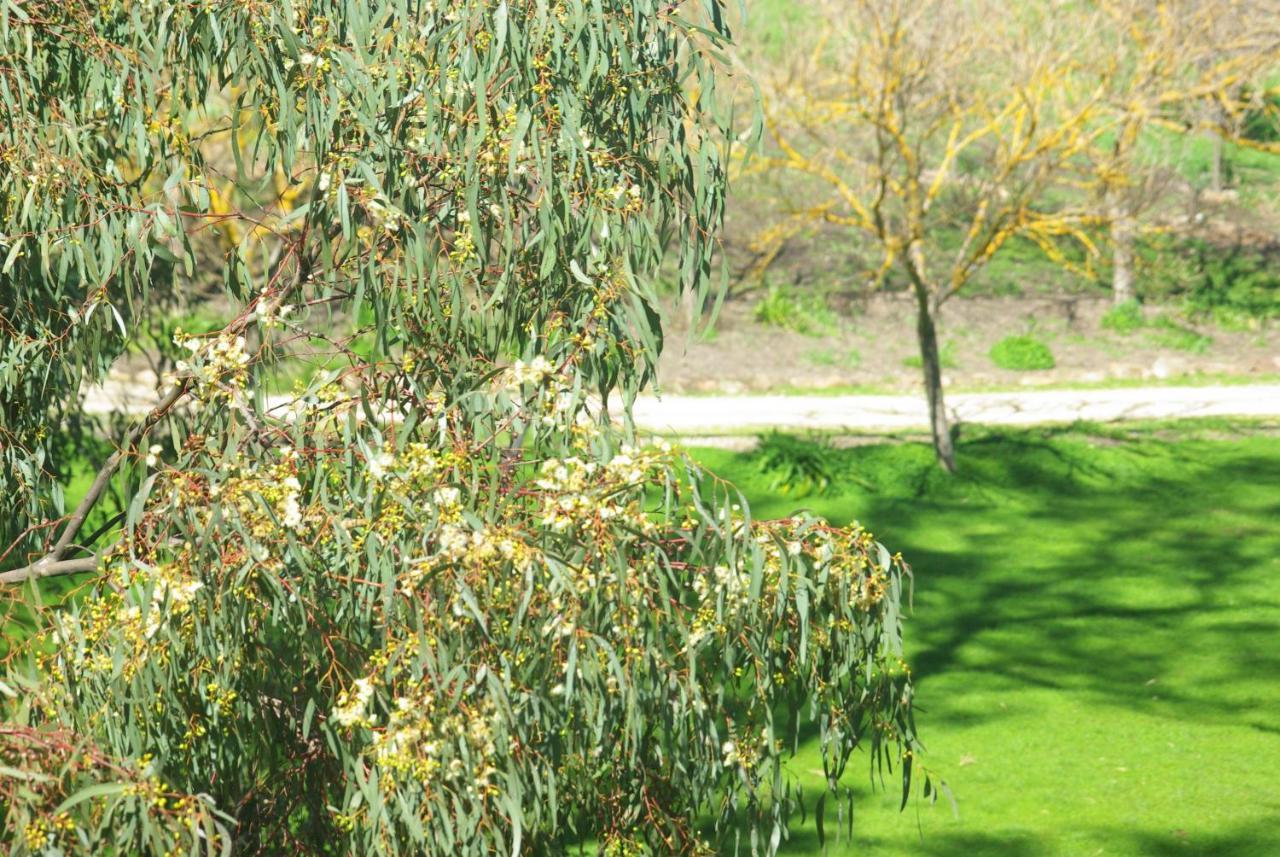 Battunga Cottages Watervale Dış mekan fotoğraf