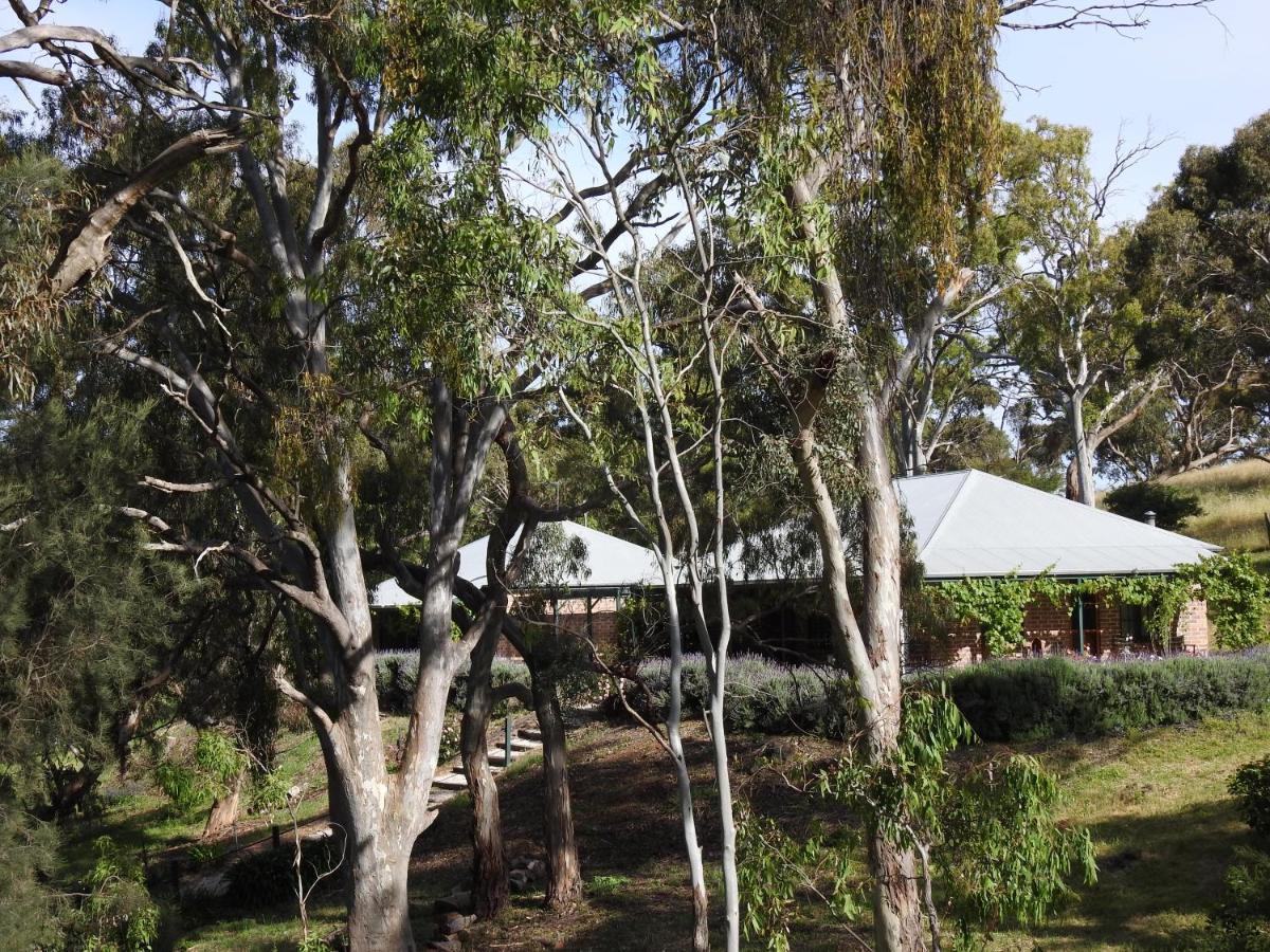 Battunga Cottages Watervale Dış mekan fotoğraf