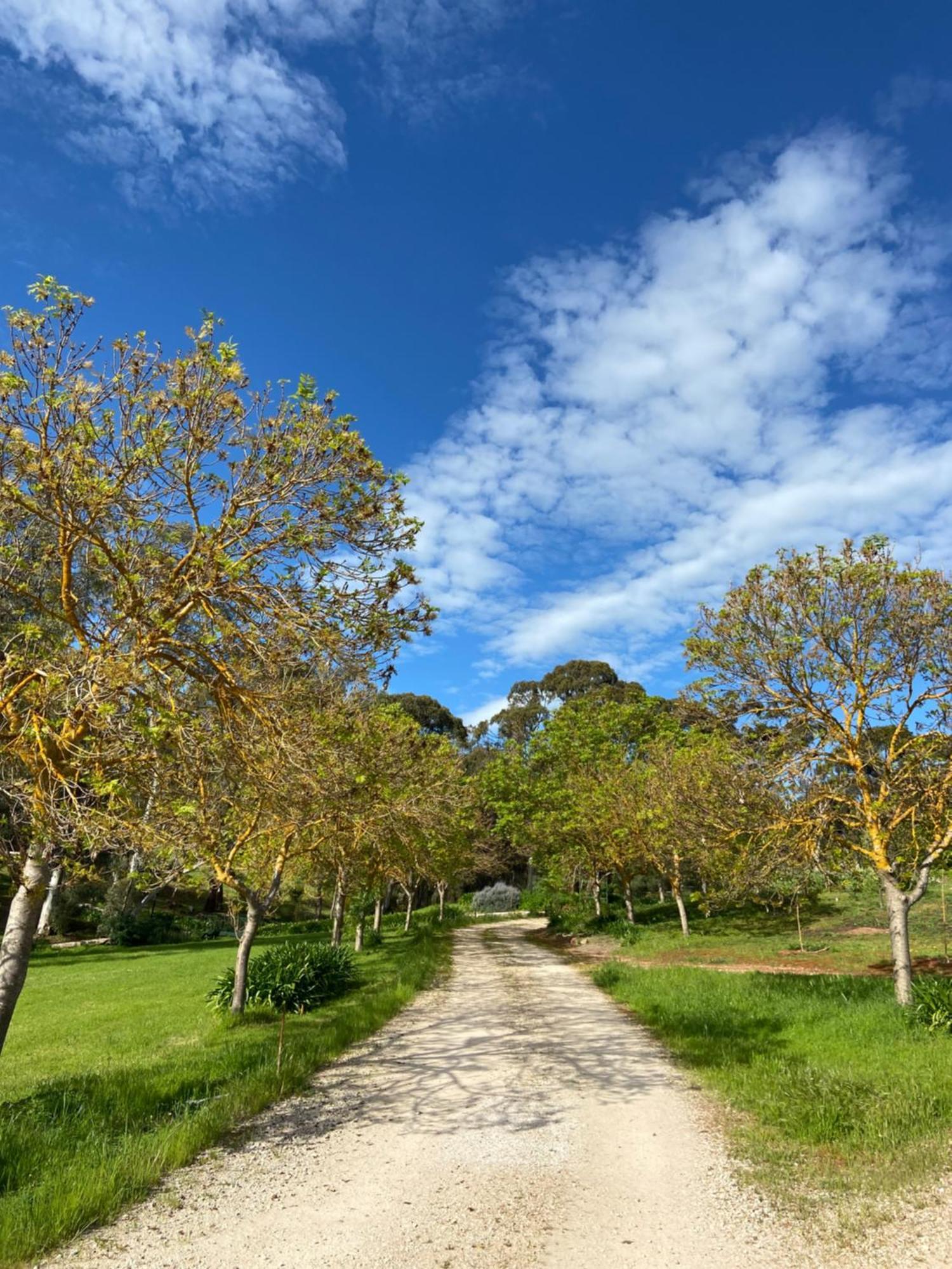 Battunga Cottages Watervale Dış mekan fotoğraf